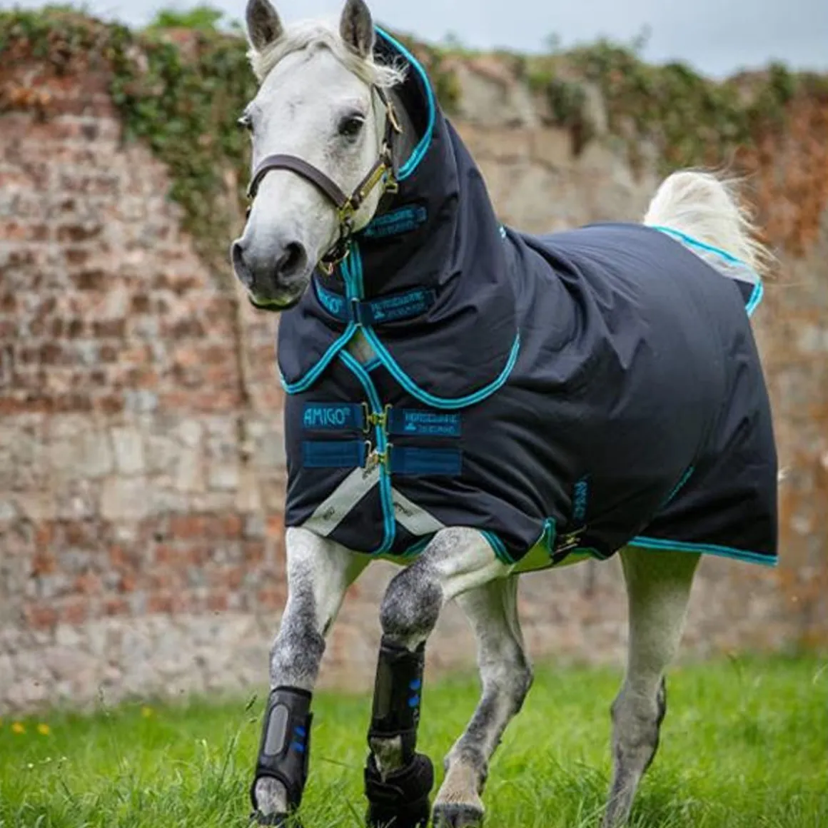 Amigo Bravo Ponni Plus - Medium 250g - Navy/Eletric blue