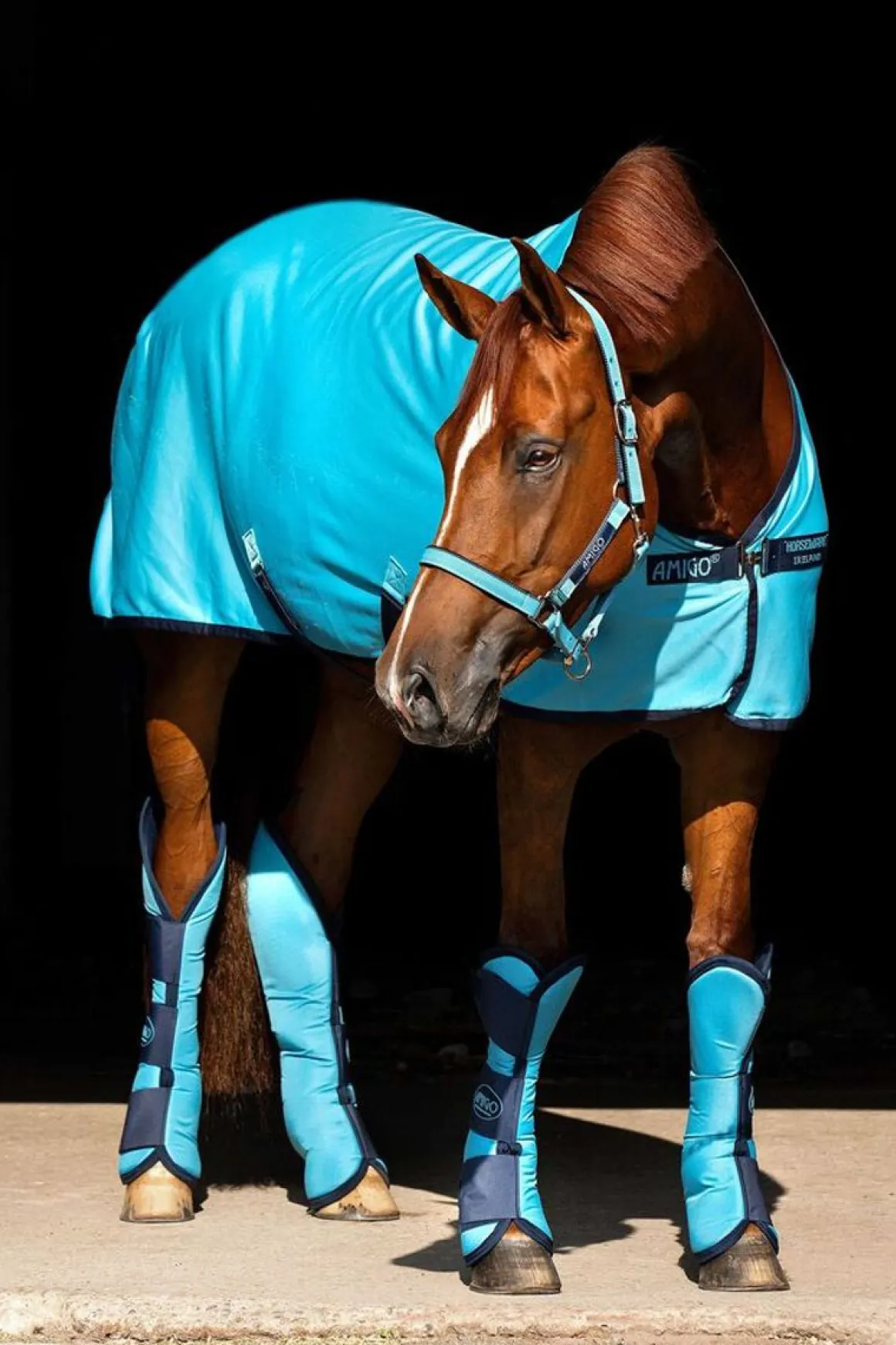 Amigo Jersey Cooler - Delphinium Blue & Navy