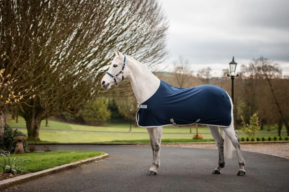 Amigo Jersey Cooler - Navy/Silver