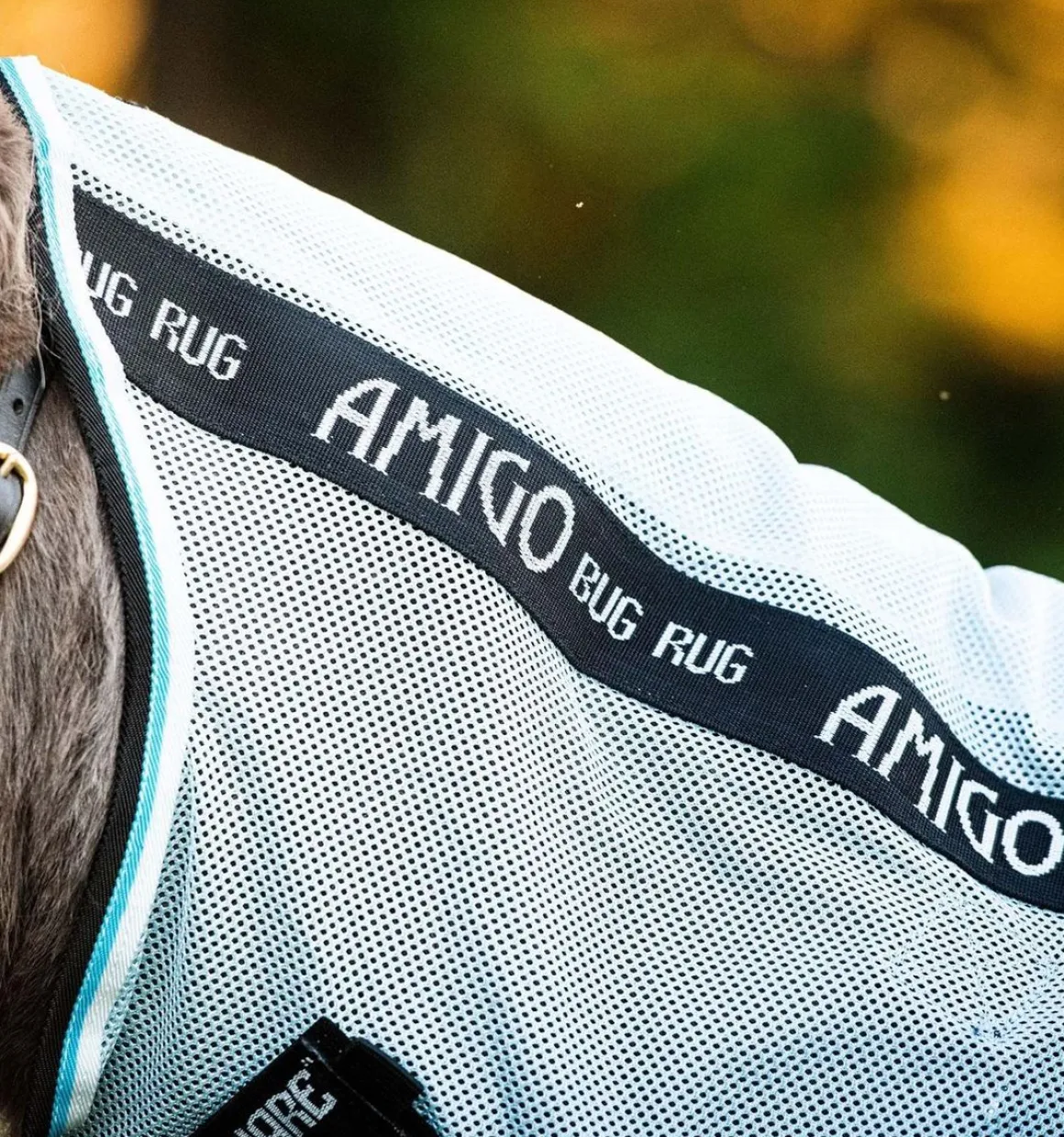 Amigo Petite Bug Rug - AzureBlue/Black