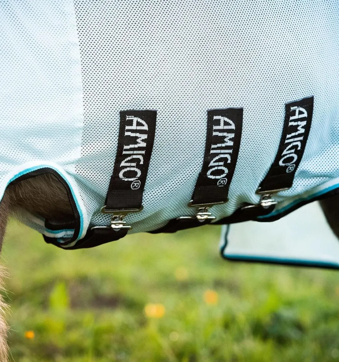 Amigo Petite Bug Rug - AzureBlue/Black