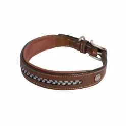 Antares Leather Dog Collar