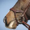 Antares Precision Hodelag med Y-nesereim