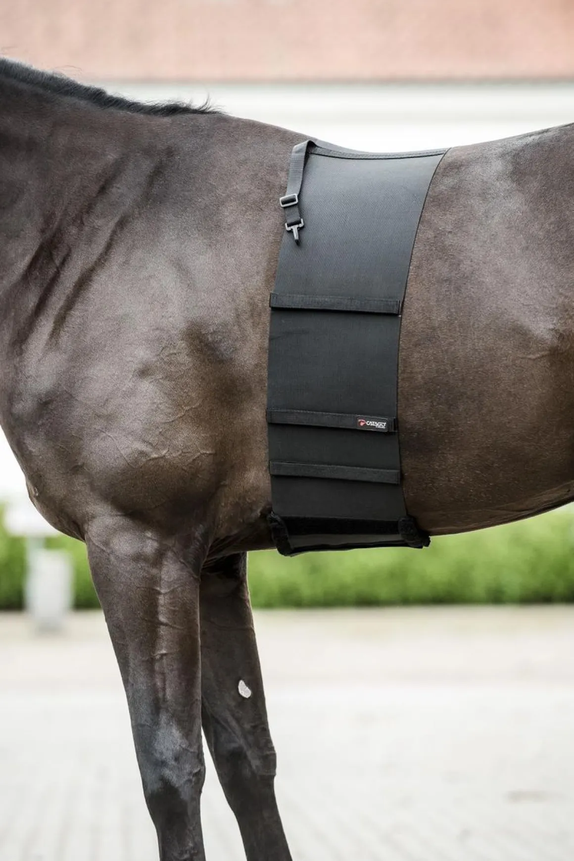 Catago Body Shield