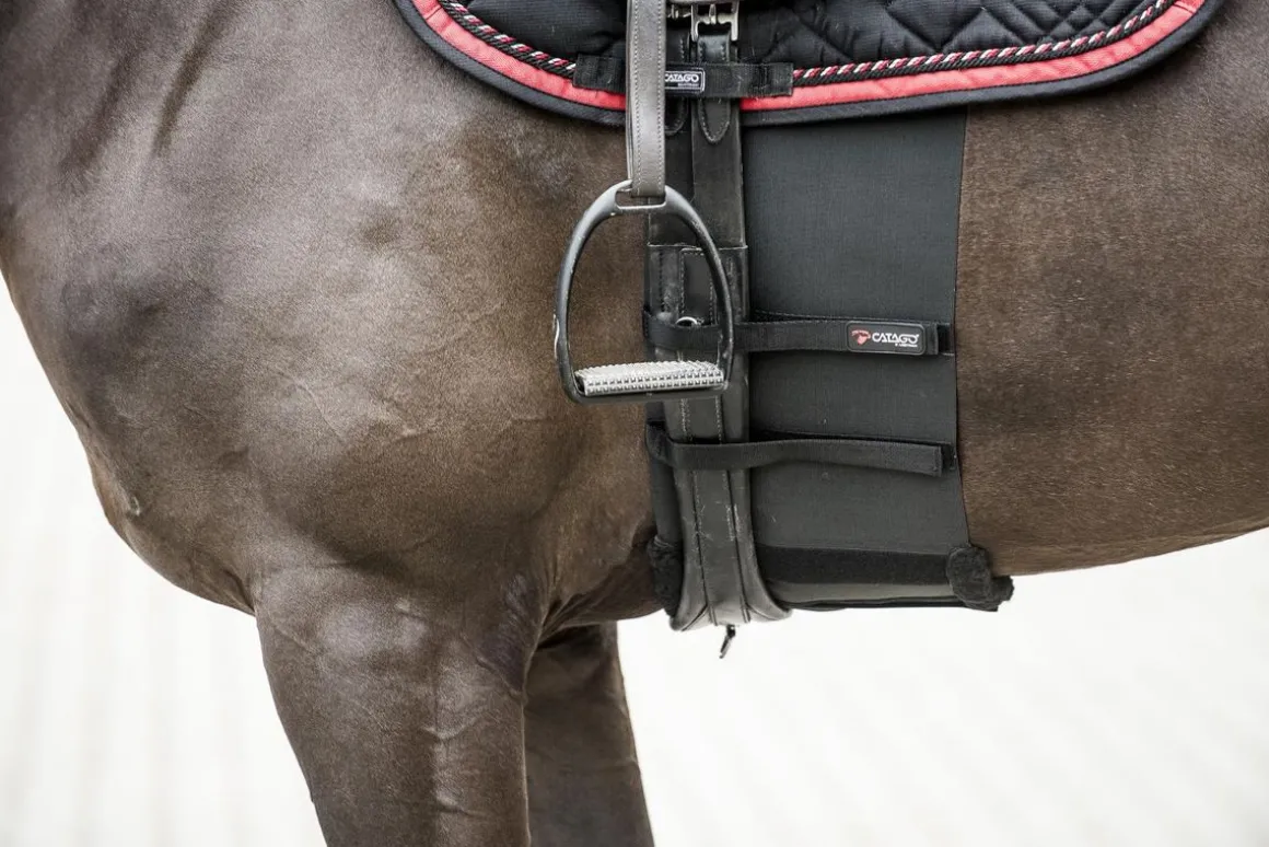 Catago Body Shield