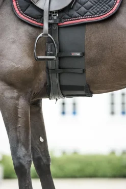 Catago Body Shield