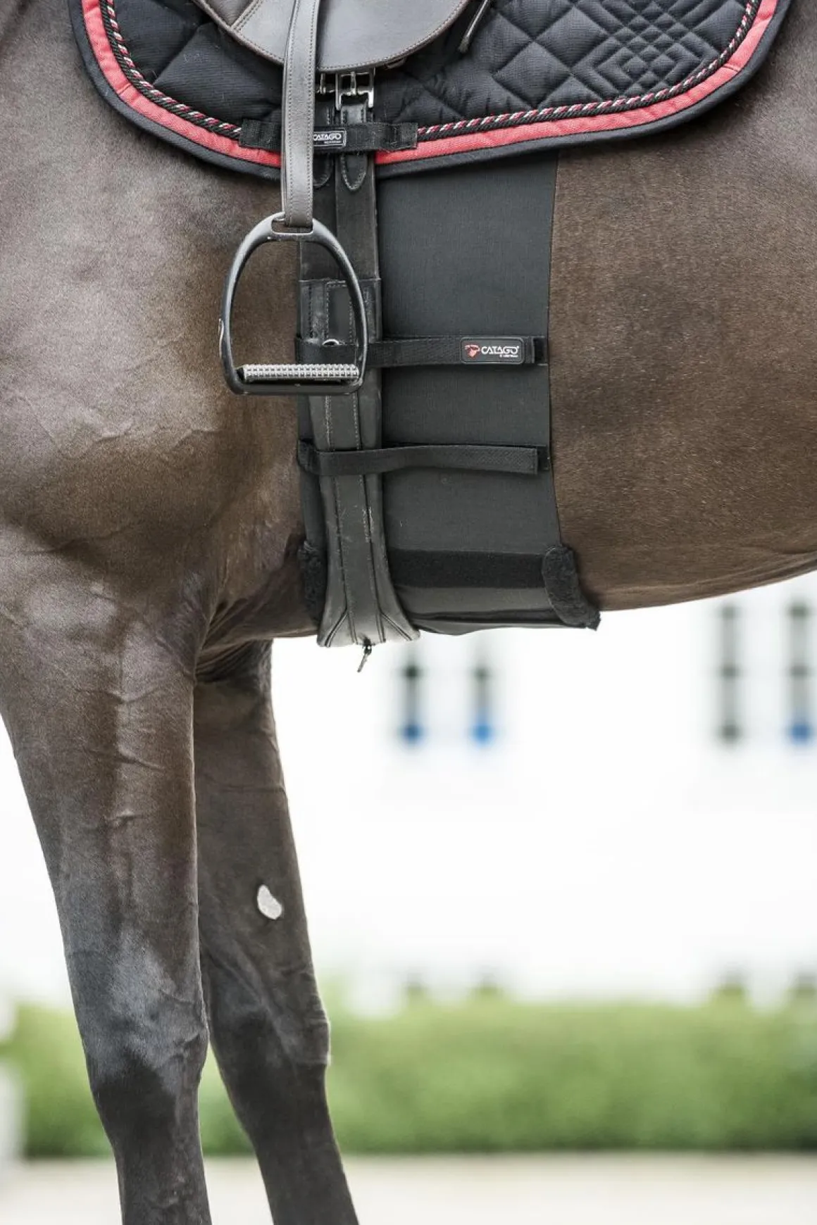 Catago Body Shield