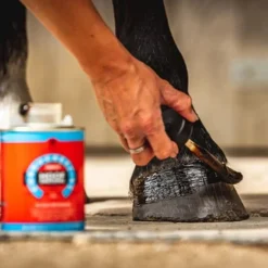 CDM Daily Hoof Dressing