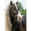 Diamond Hodelag til Shetland Ponni