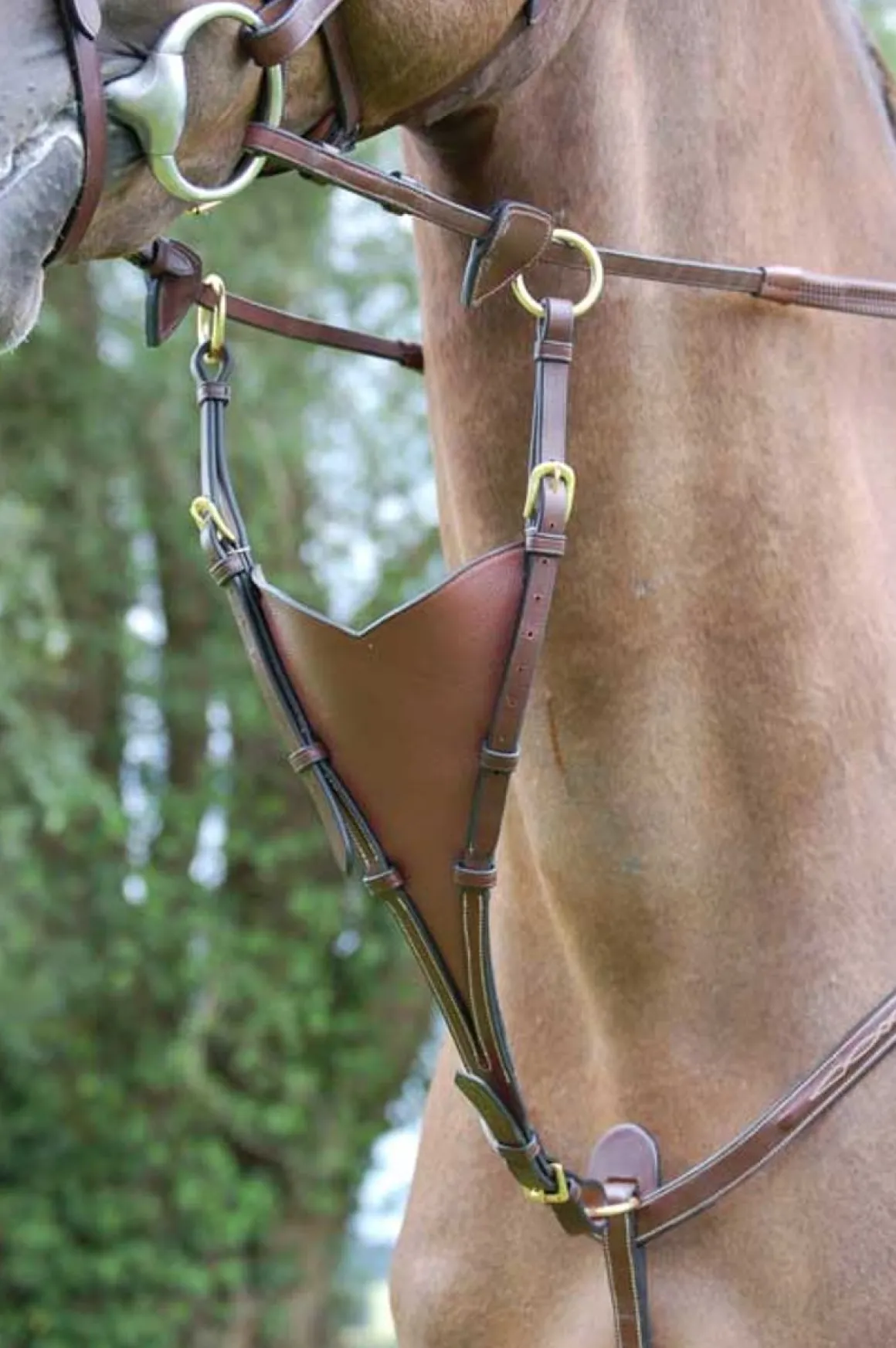 Dyon Kort Martingal Antibit - Dyon Collection