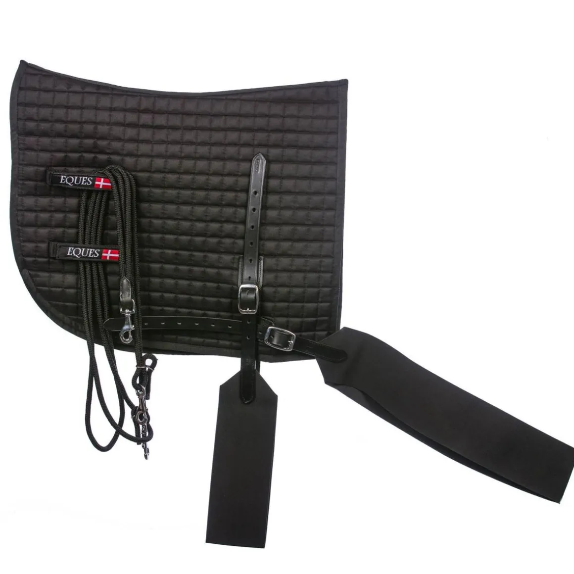Eques Core trainer Longering System