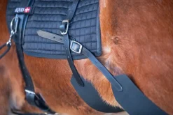 Eques Core trainer Longering System
