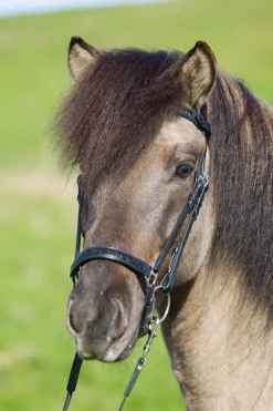 Eques Hannoveransk Nesereim med Månestein Krystaller