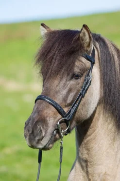 Eques V-formet Pannebånd med Månesten Krystaller