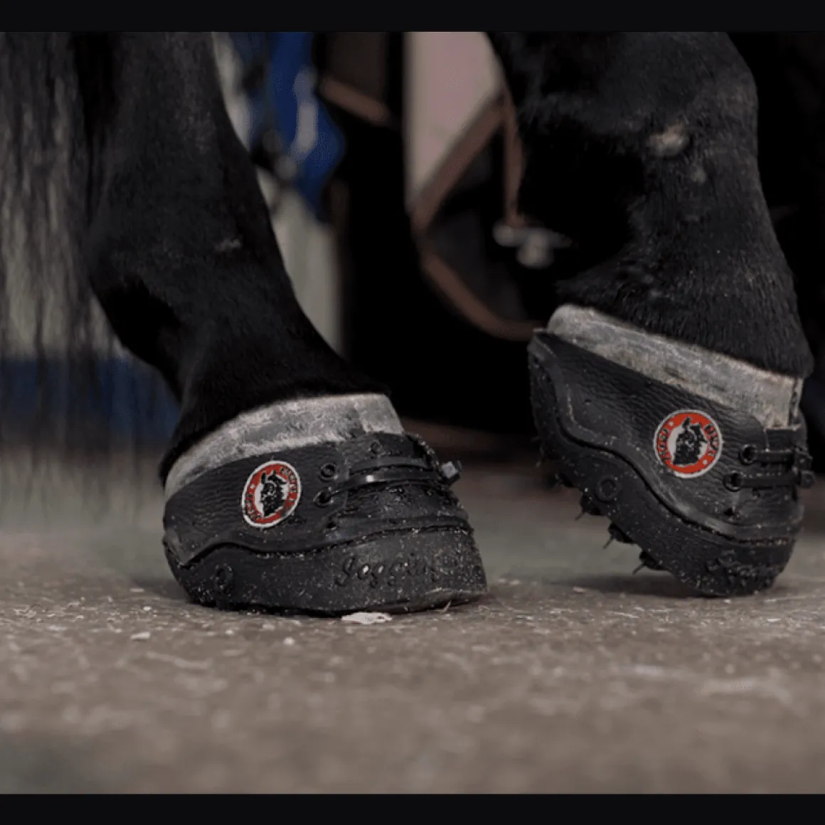 Equine Fusion 24/7 Jogging Limsko
