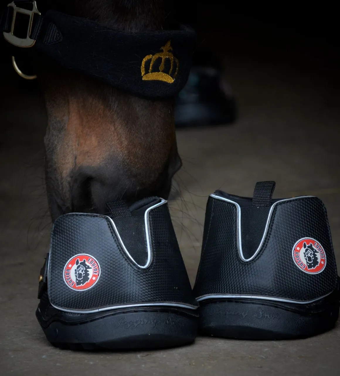 Equine Fusion Active Jogging Shoe