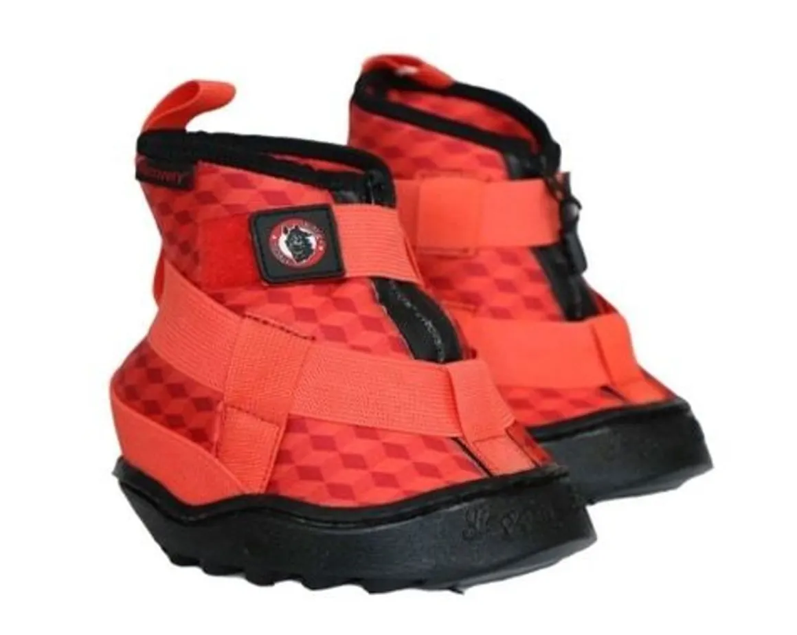 Equine Fusion Recovery Shoe