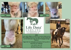 Farrier's Finish Life Data