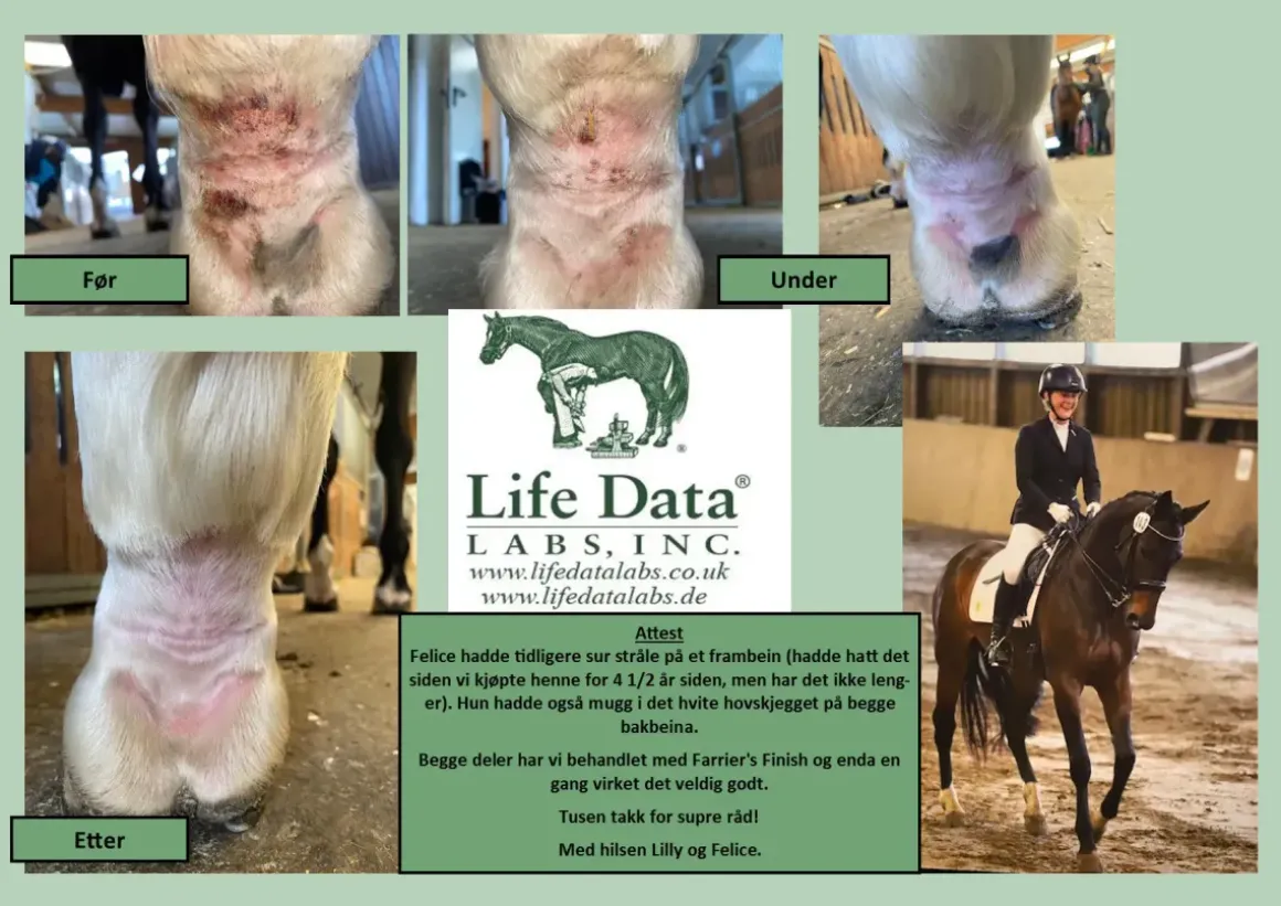 Farrier's Finish Life Data