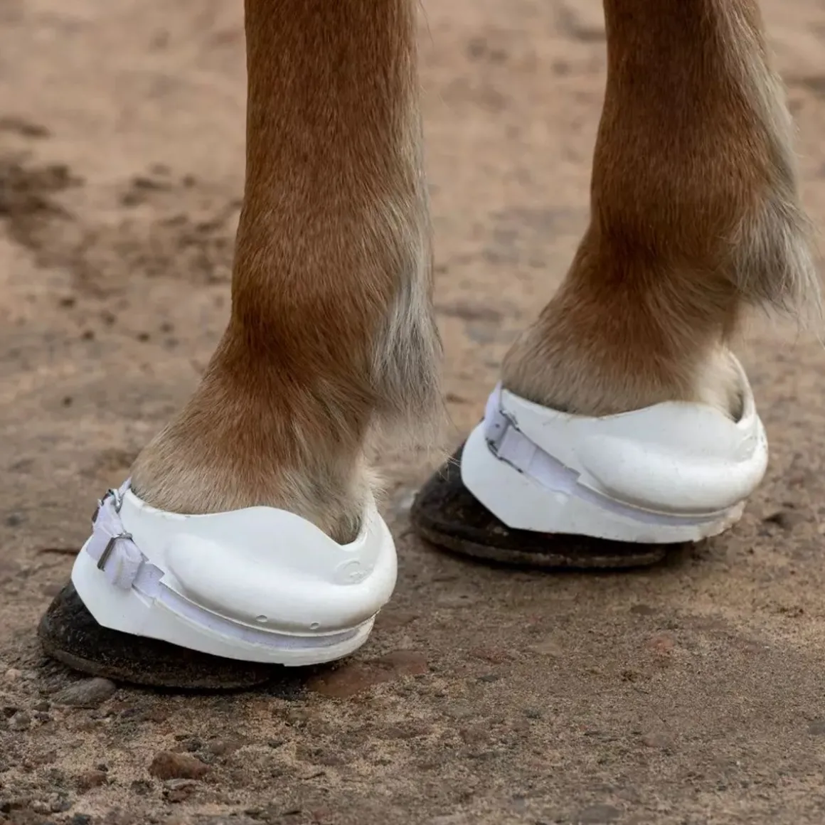 G-Boots The Original