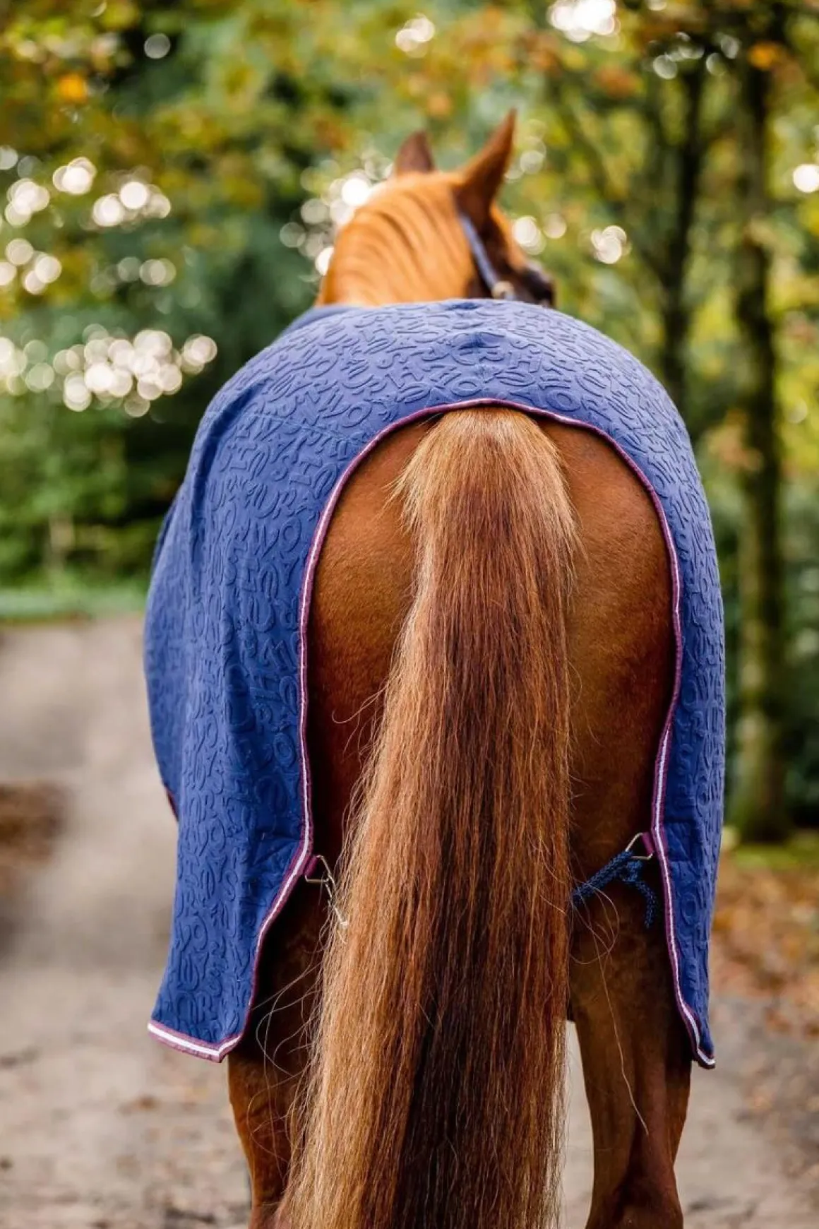 Horseware Cosy Neck Cooler Navy HW print