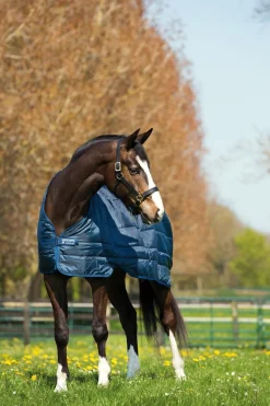 Horseware Liner 300gr