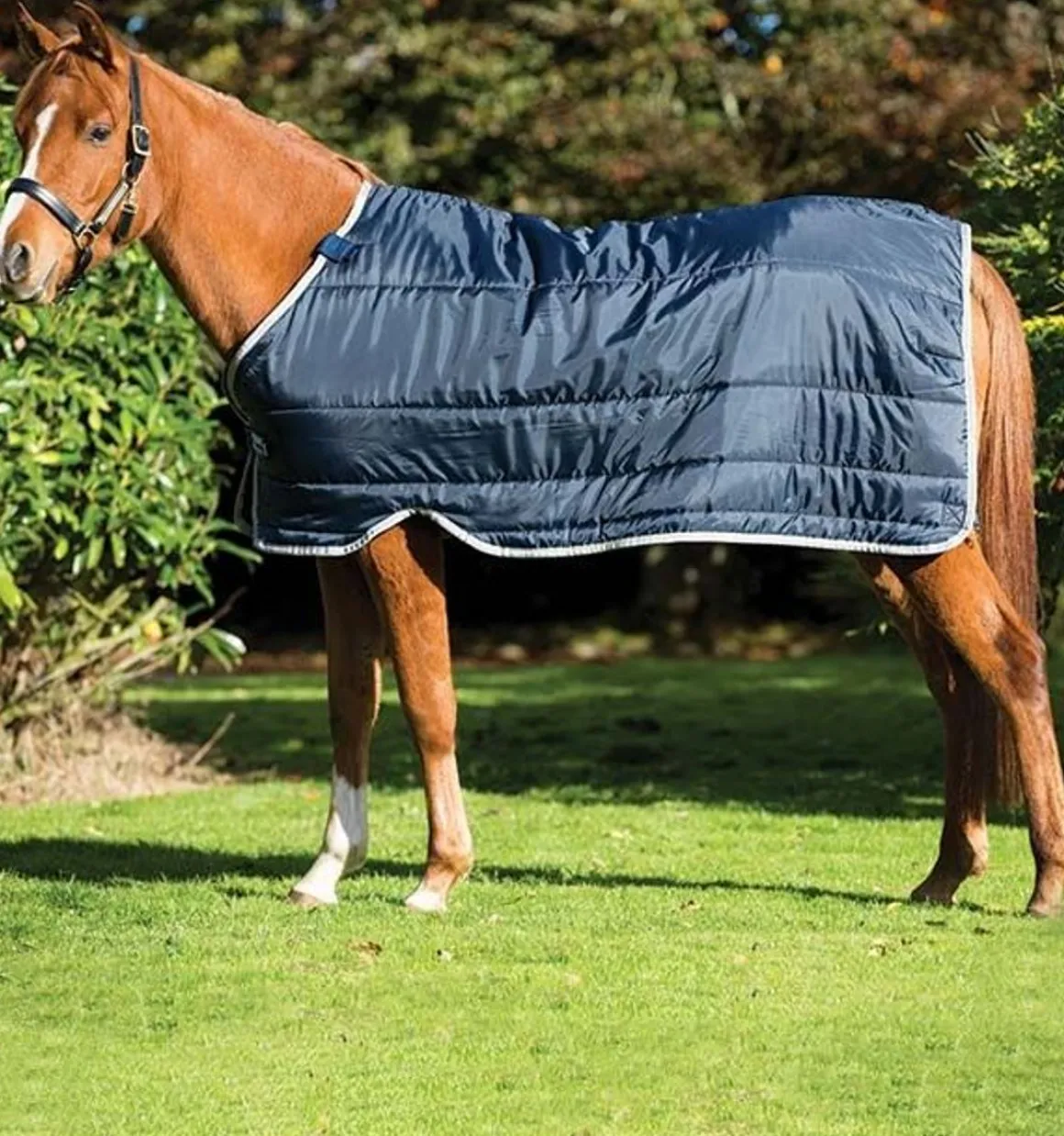 Horseware Ponni Liner 200g