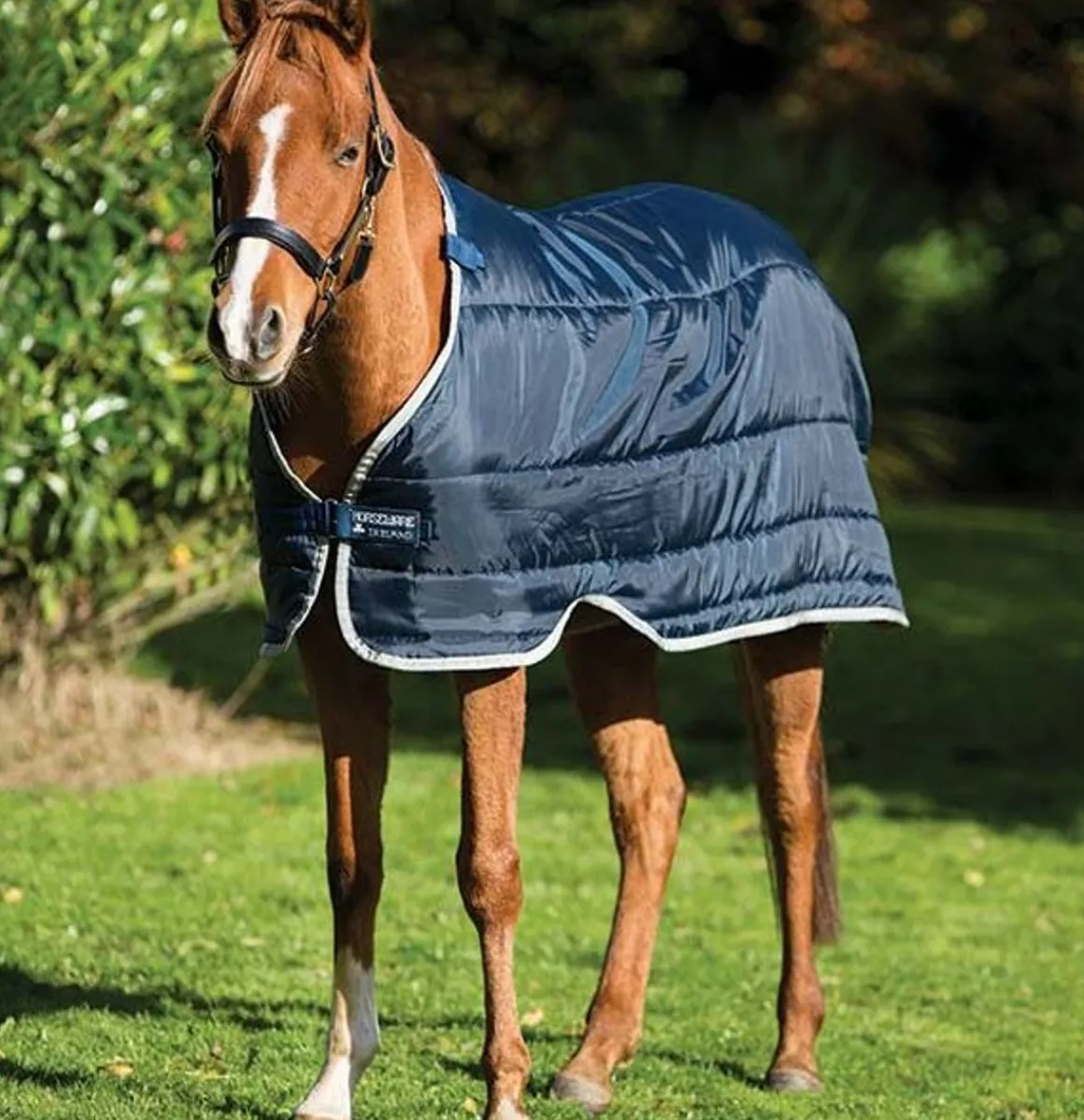Horseware Ponni Liner 100gr