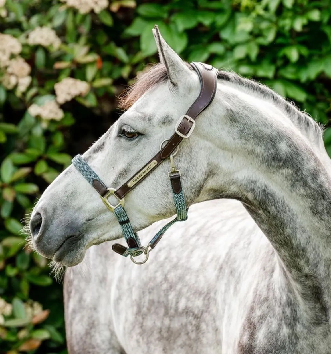 Horseware Signature flettet grime - Flere farger