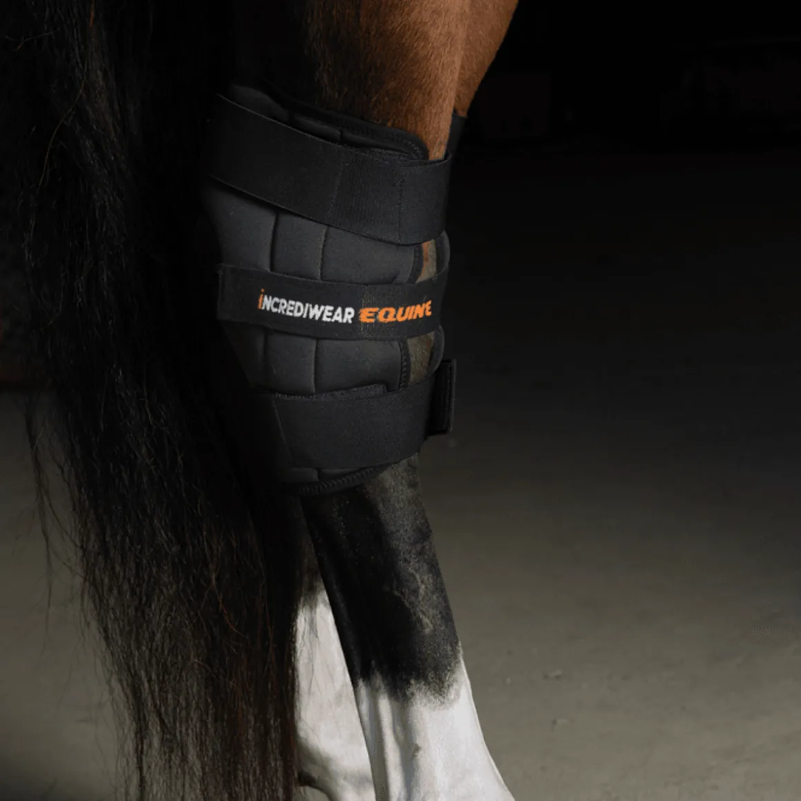 Incrediwear Circulation Hock Boots