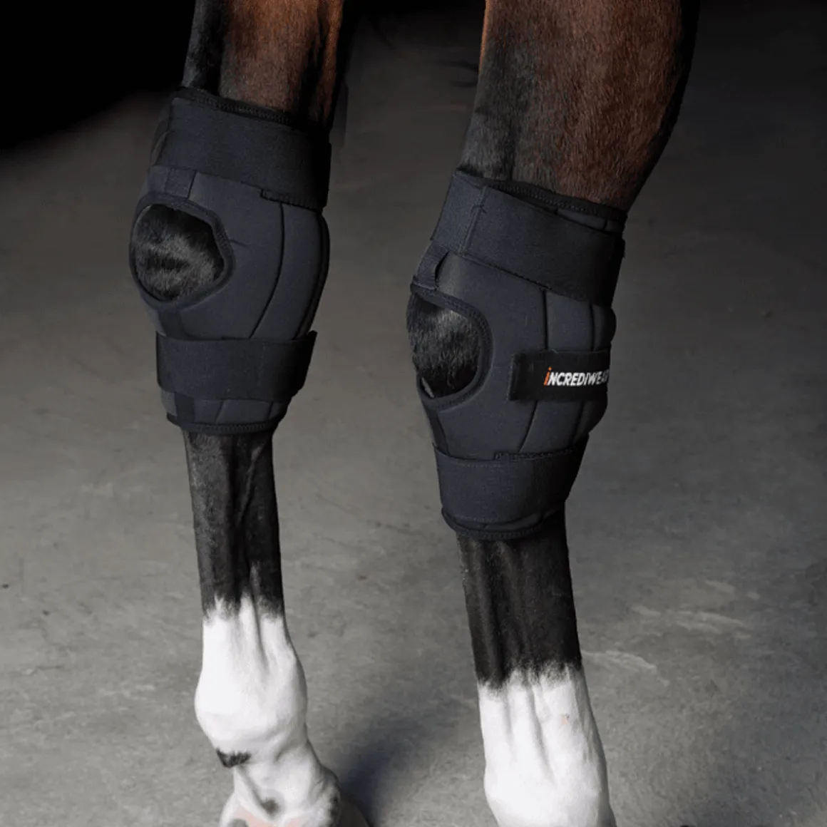 Incrediwear Circulation Hock Boots