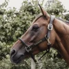 Kentucky Anatomisk grime i Lær