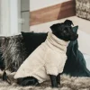 Kentucky Dog Sweater Teddy Fleece