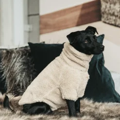 Kentucky Dog Sweater Teddy Fleece