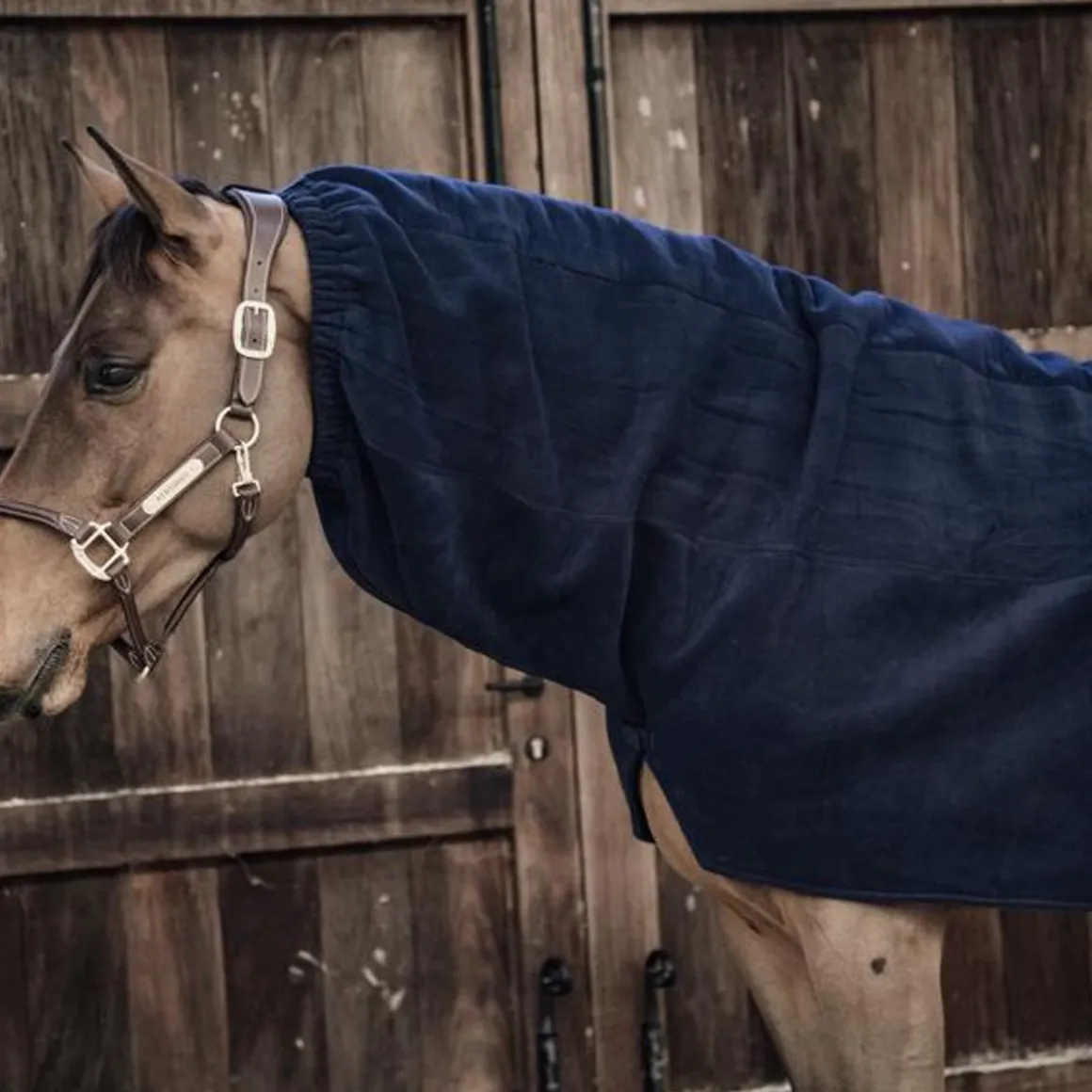 Kentucky Heavy Fleece Scarf