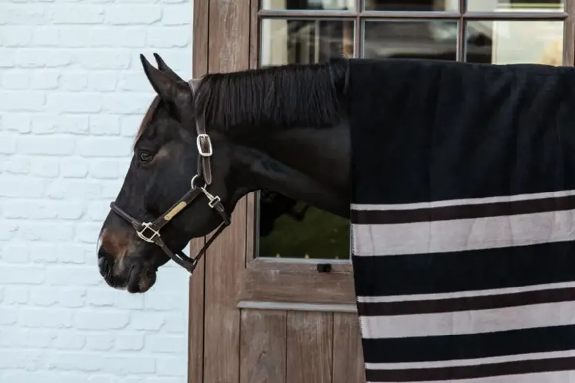 Kentucky Heavy Fleece Square