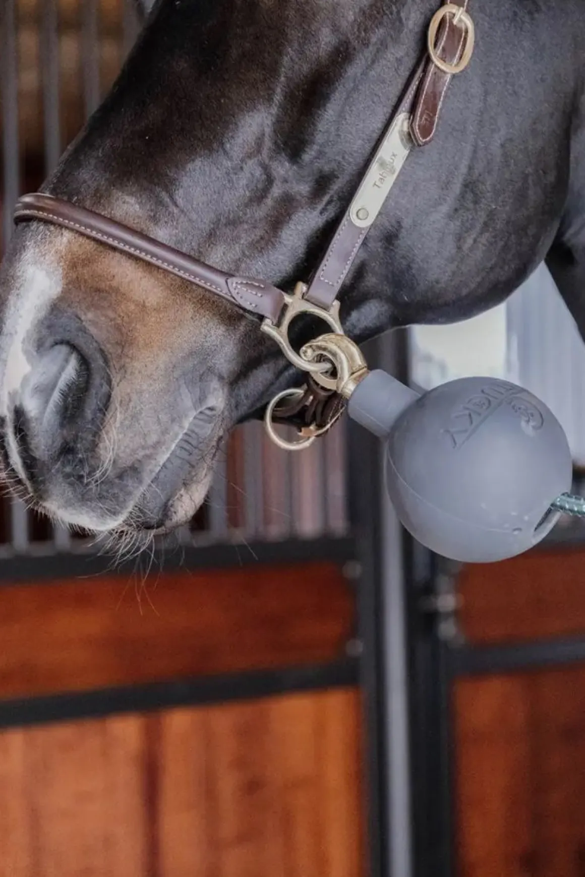 Kentucky Lead & Wall Protection Rubber Ball