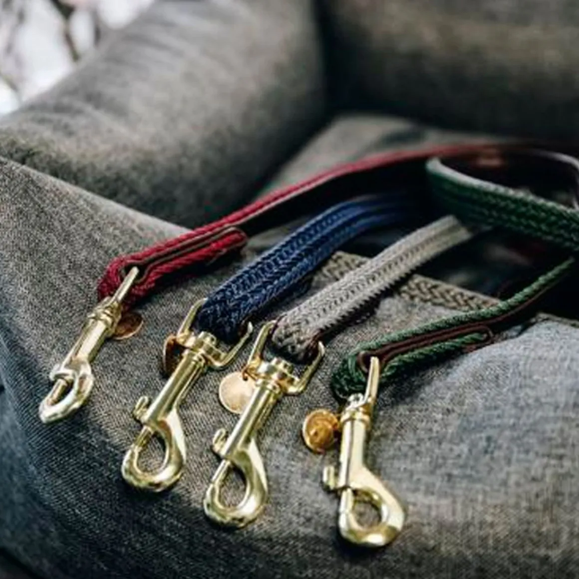 Kentucky Plaited Nylon Dog Lead