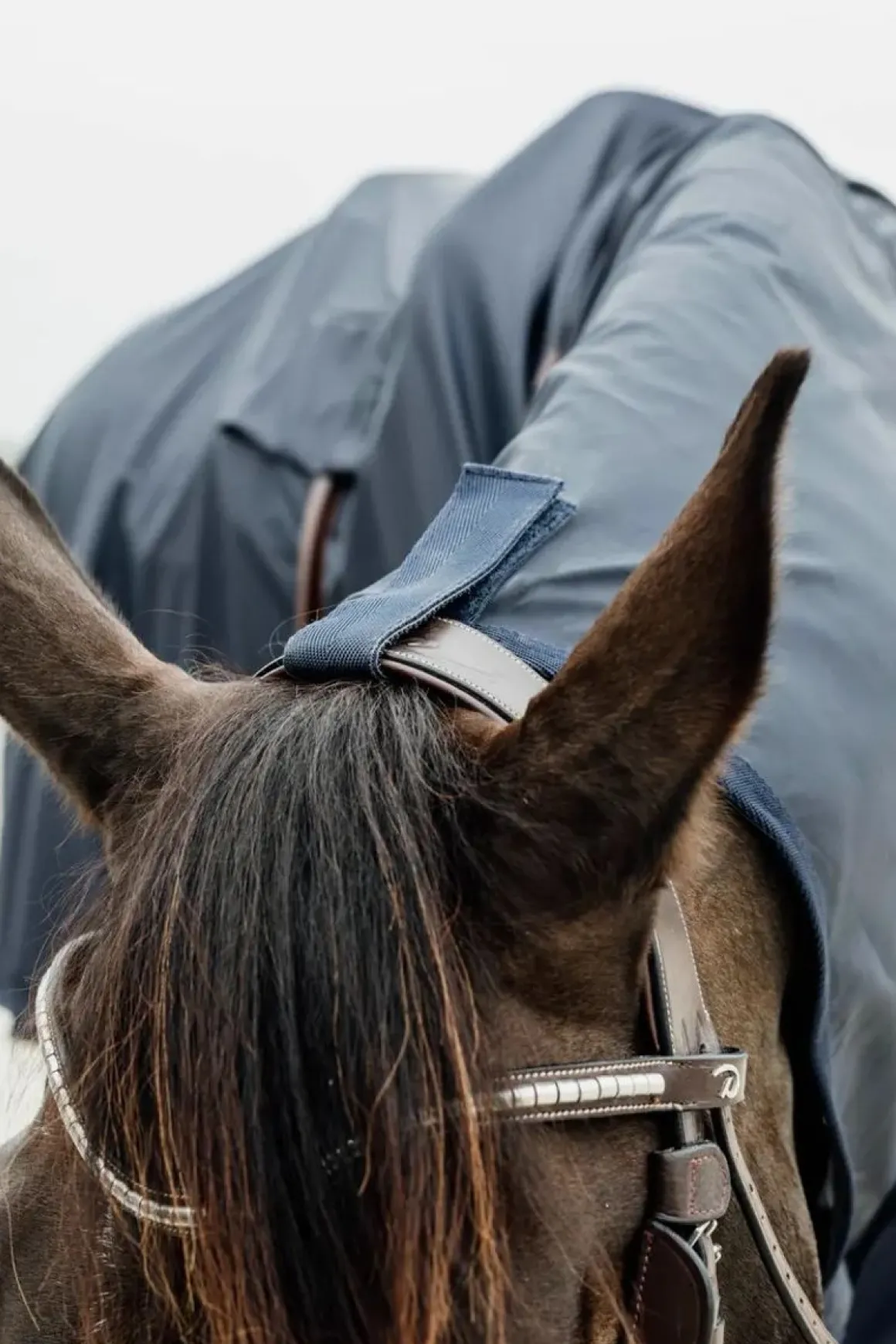 Kentucky Rain Coat m/hull til stigbøyle