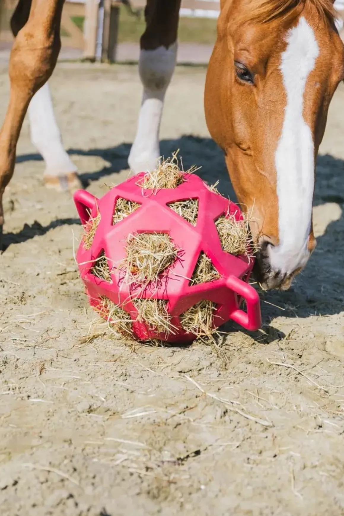 Kentucky Relax Horse Play & Hay Ball