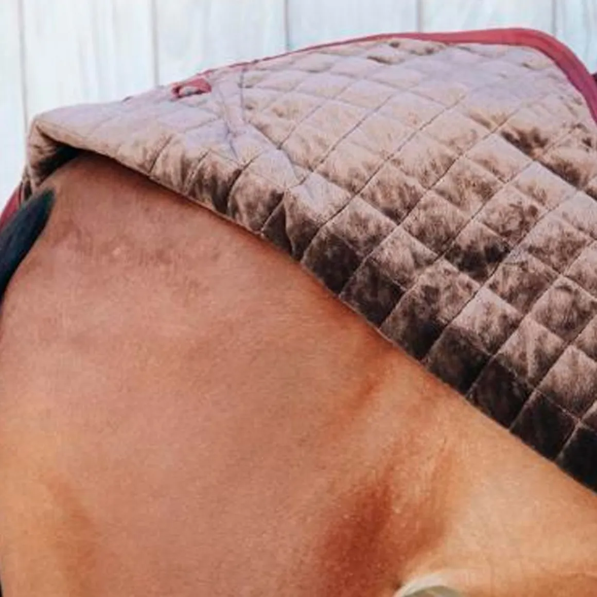 Kentucky Riding Rug 160gr