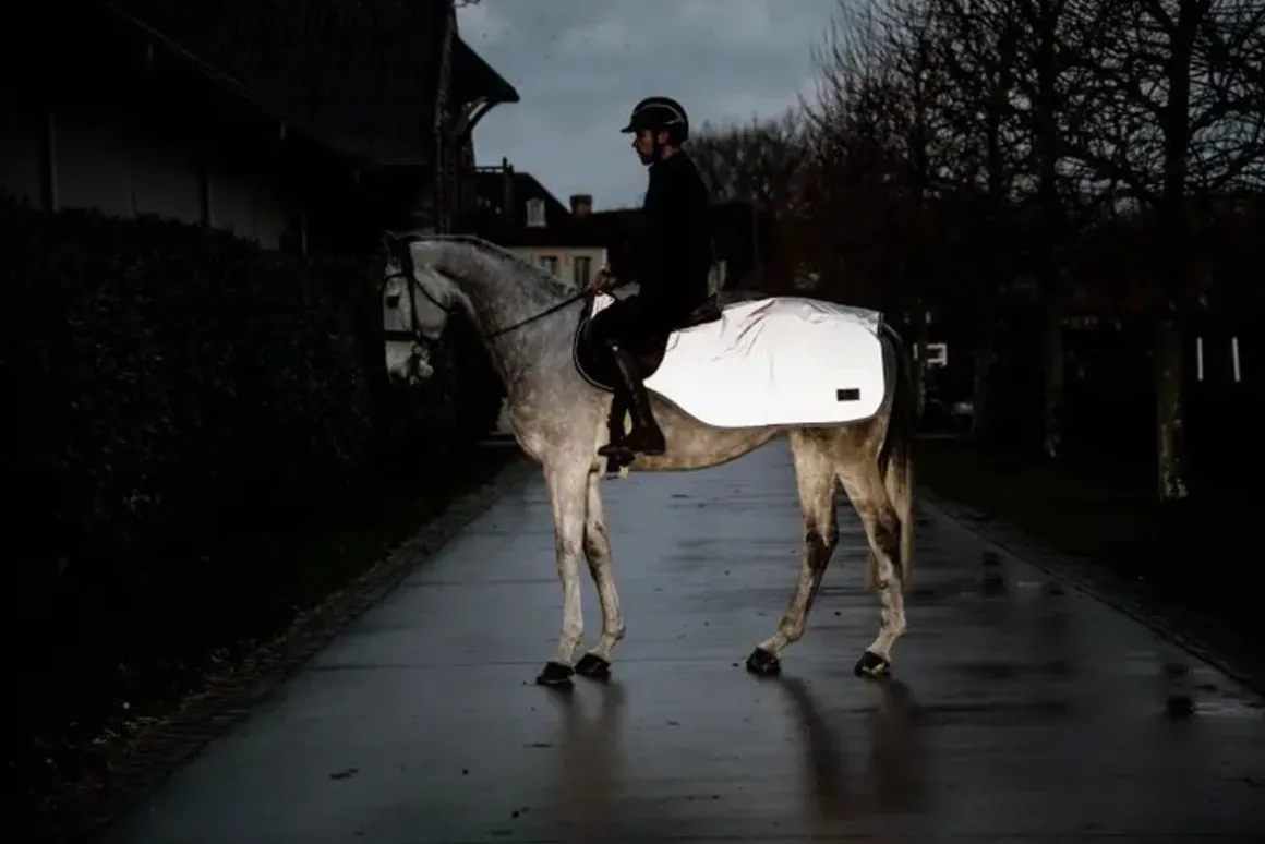 Kentucky Riding Rug Reflective