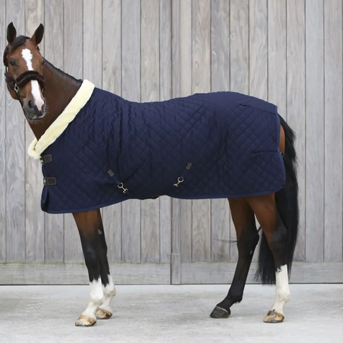 Kentucky Show Rug 160gr