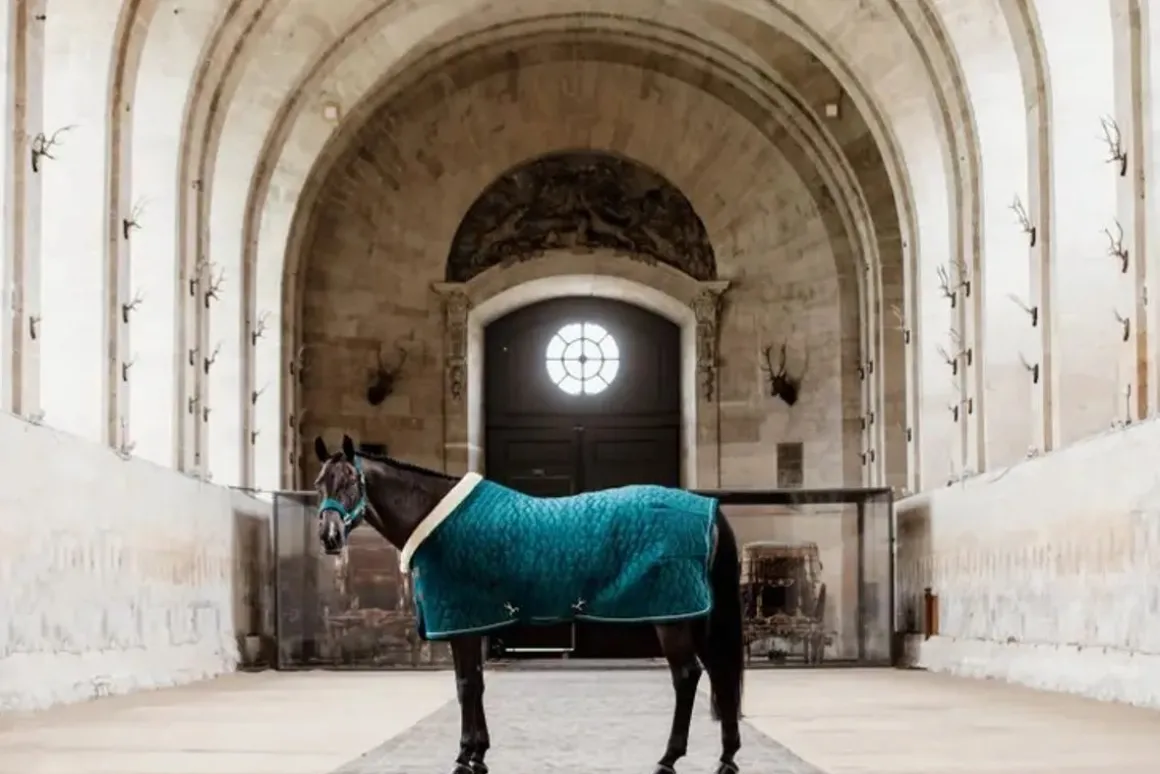 Kentucky Show Rug Velvet - Emerald