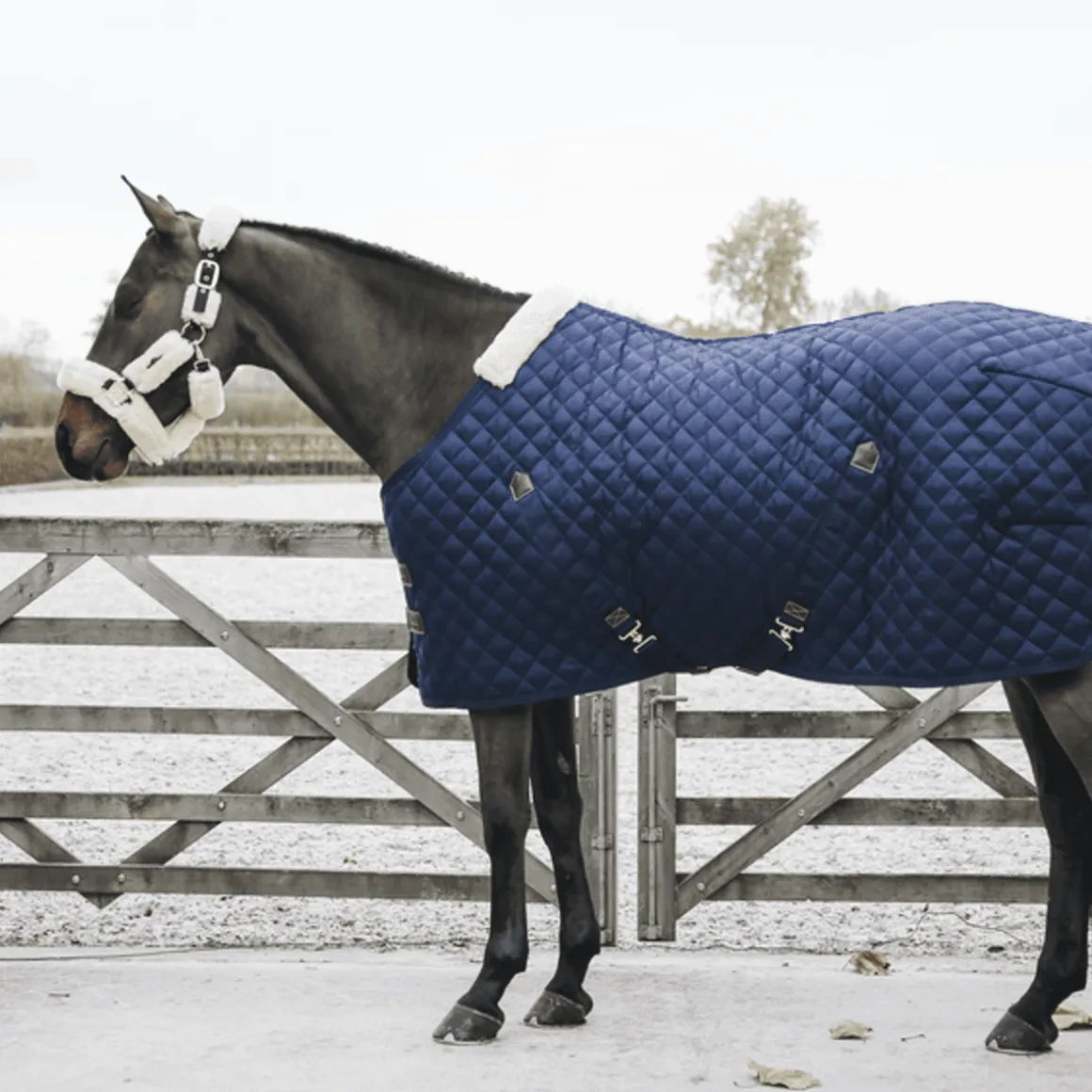 Kentucky Stable Rug - 200gr