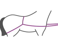 Lastehjelp for hest til henger