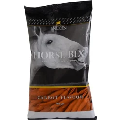 Lincoln Horse Bix