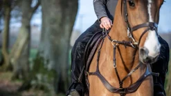 LM Stormwear Chaps