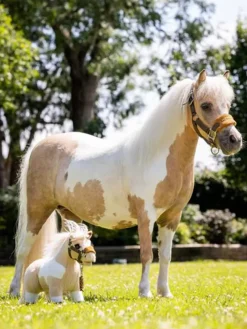 LM Toy Pony Lemon