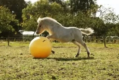 Maximus lekeball 65cm